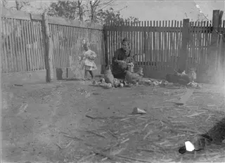 small_dortha's 2017-224-b.webp